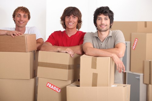 Local moving assistance with boxes and household items in Kentishtown