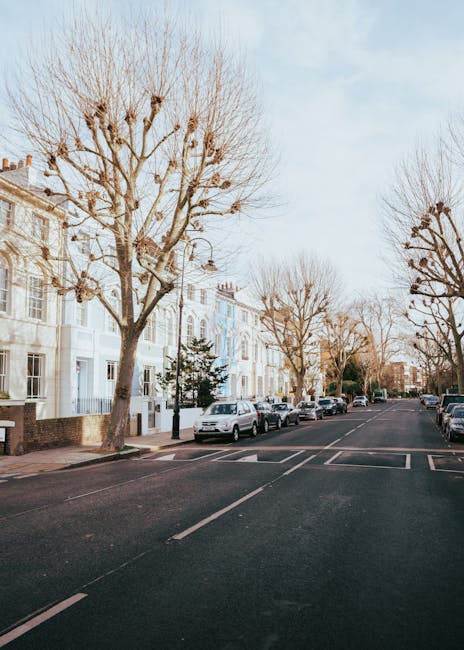 A quiet residential street with lined pavement and parked cars along both curbs. The street features a row of multi-storey Victorian-style terraced houses painted in light pastel colours, with bay windows and individual entrances. Several leafless trees with knotted branches are evenly spaced along the pavement, suggesting late autumn or winter. The scene is illuminated by natural daylight, casting soft shadows on the asphalt and highlighting the textures of the buildings and trees. Visible in the foreground is a section of the road with parking bays and directional markings. This setting is representative of a typical London neighbourhood that might be involved in home relocation or furniture transport activities, in line with house removals and moving services provided by Man with Van Kentish Town. The overall environment appears calm and suitable for vehicle loading or delivery operations related to moving or packing and moving procedures.